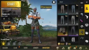 PUBG Account Level 100